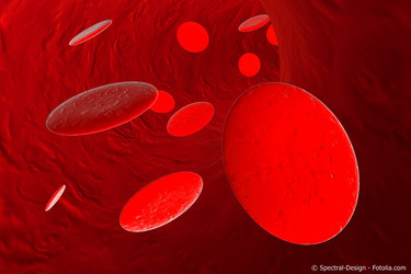 Blutkörperchen in Großaufnahme