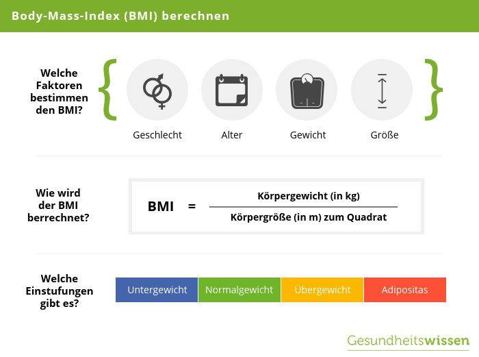 Berechnung des Body Mass Index (BMI)