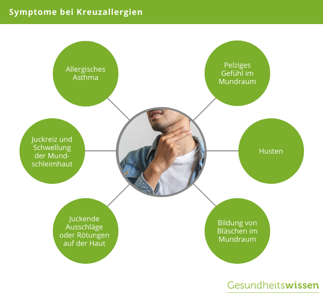 Kreuzallergie Symptome